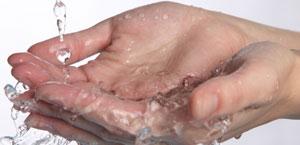 �������ÿ�������ˮ,�������������?��������!