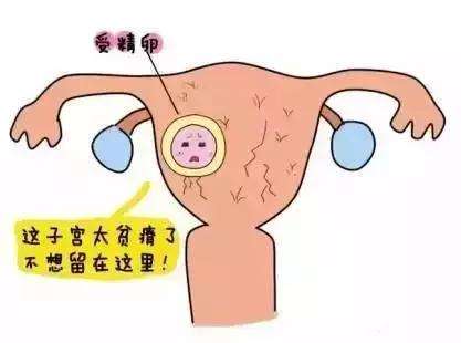 不当人流产生的危害