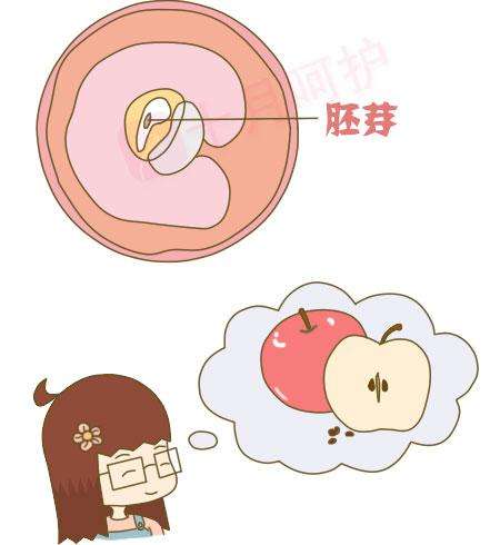 呼和浩特做人流的注意事项