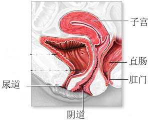呼和浩特无痛人流的医院
